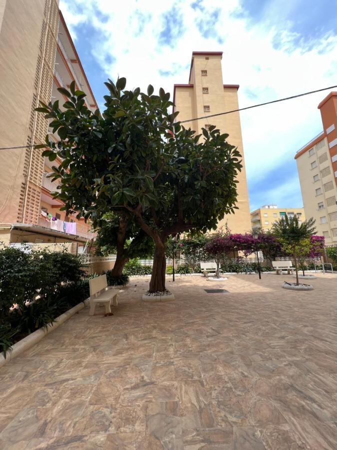 Ap Cande Playa De Gandia Exteriör bild